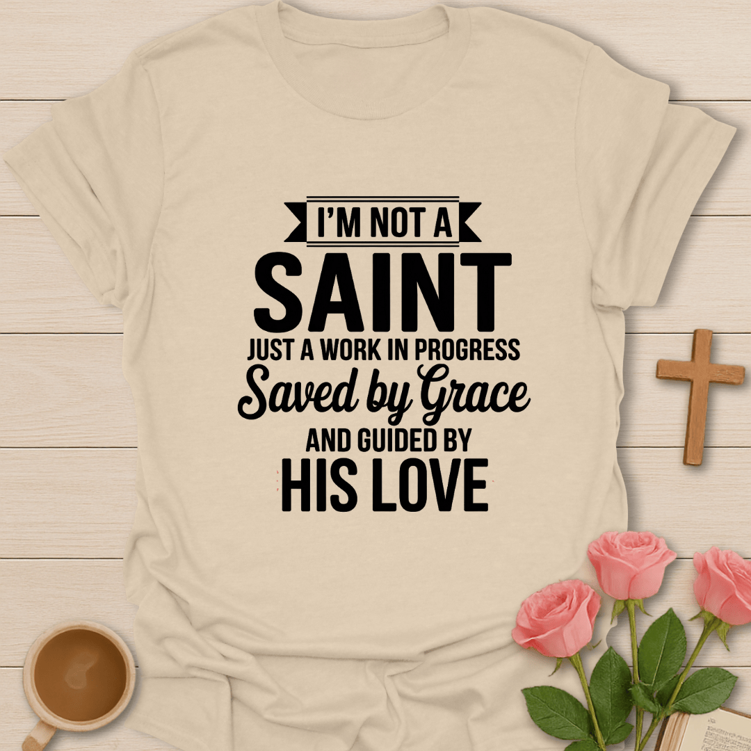 I'm Not A Saint T-Shirt