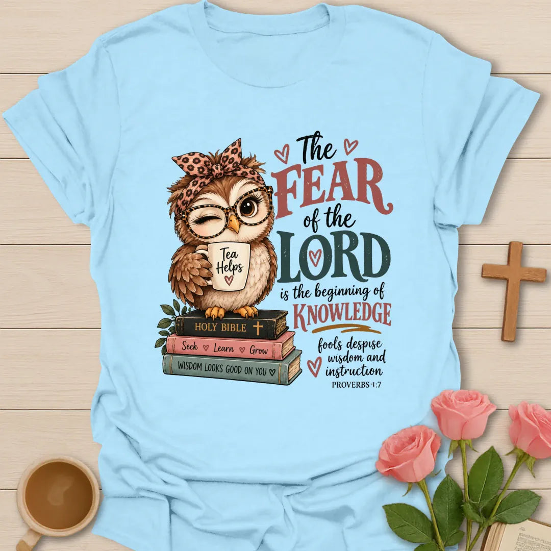 Beginning Of Knowledge Christian t-shirt with Proverbs 1:7 inspired lettering - Light Blue