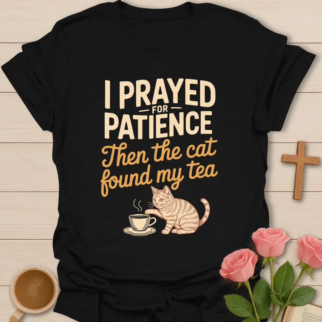 I Prayed for Patience Then the Cat Found My Tea funny Christian t-shirt with an orange tabby cat reaching for a teacup - Black